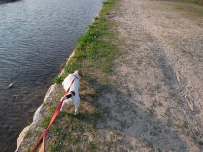 日曜のこと