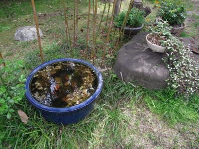 水温む