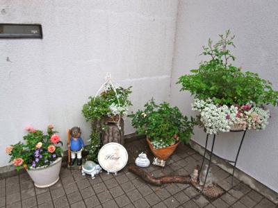 May Flowers