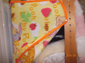 14川猫ムッちゃん何してた?