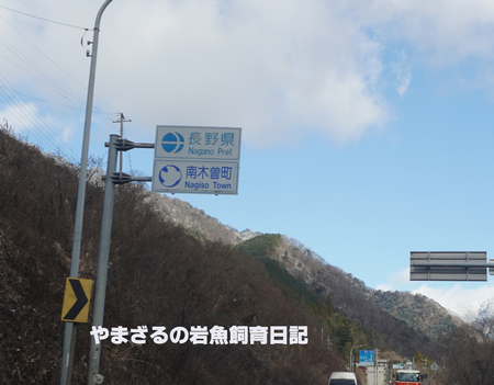 進撃の川鵜~352~ 進撃の川鵜~352~
