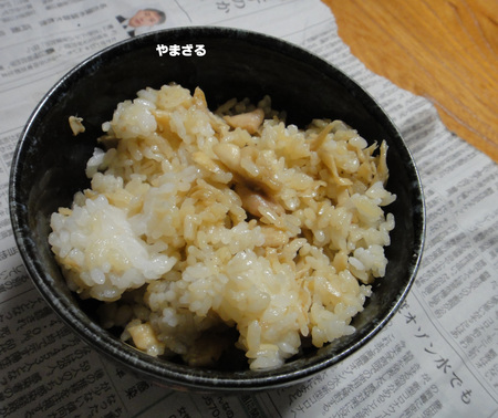 2020年の舞茸とり 2020年の舞茸とり