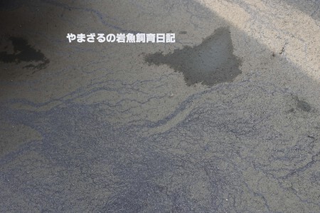 第16話 越冬 第16話 越冬