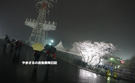 2025年 F1日本グランプリ ~最終日~ 2025年 F1日本グランプリ ~最終日~