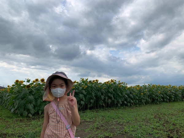 2020年7月下旬 ひまわりを見に 2020年7月下旬 ひまわりを見に