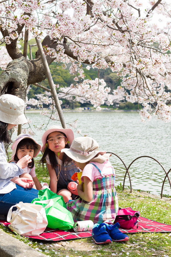 2018年4月 明石で花見 2018年4月 明石で花見