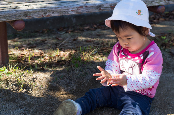 2015年11月 2015年11月