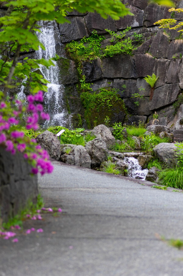 2023年6月 約10年ぶりの滝野へ 2023年6月 約10年ぶりの滝野へ