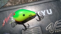 6/4新川釣行
