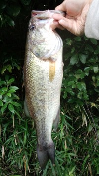 房総ダム釣行
