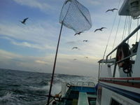 2010年釣り納め－大洗ヒラメ釣り－