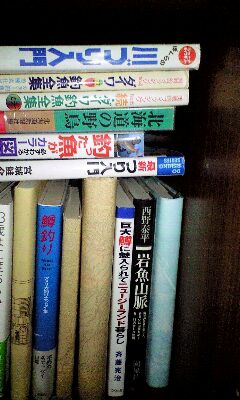 新たなる?趣味