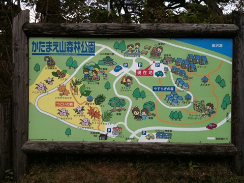 芋煮会