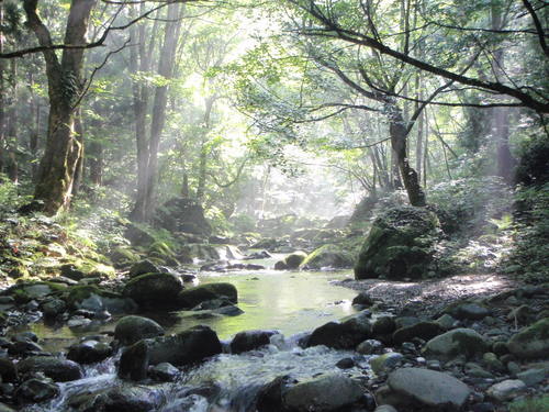 千代川水系 9月の釣り