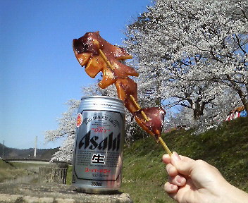 花見♪