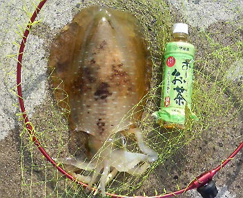 今夜の残業代