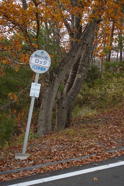 2008晩秋・西山高原の思い出