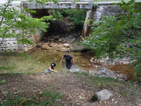 大鬼谷・・・2011夏