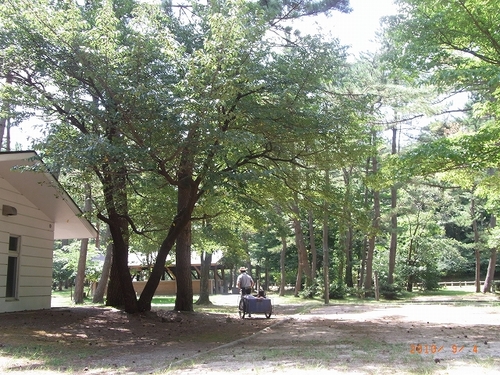 初秋?三瓶北の原キャンプ場