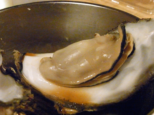 2010年忘れキャンプinNishiyama