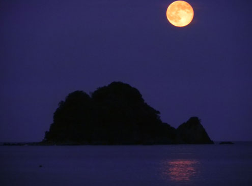手石島と月