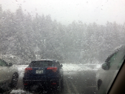 雪国弾丸Tripから帰ってきました 雪国弾丸Tripから帰ってきました