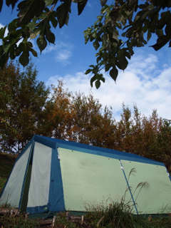 秋キャンプ＠くりの木キャンプ場　続き