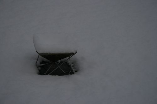 牛野で雪中2
