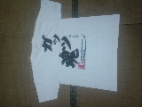 メバトロフェスティバル2009in福岡&ガッツメバル祭り