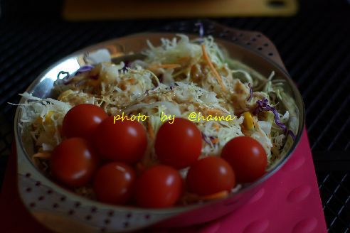 皐月キャンプ 皐月キャンプ