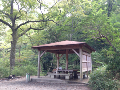森コーヒー 森コーヒー
