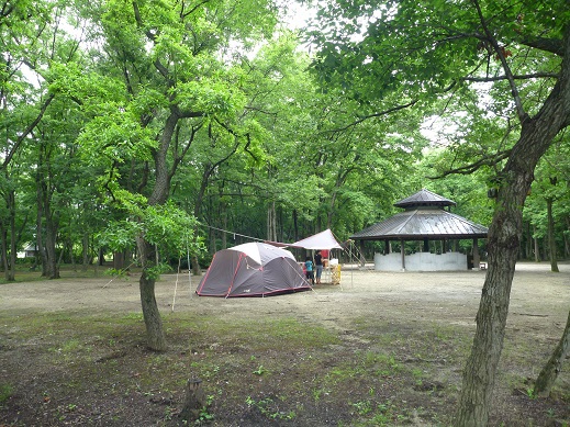 茨城県 やちよグリーンビレッジ① 茨城県 やちよグリーンビレッジ①