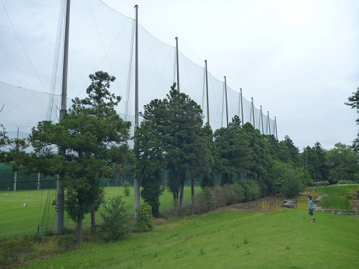 茨城県 やちよグリーンビレッジ② 茨城県 やちよグリーンビレッジ②