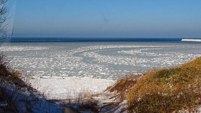 否定派が流氷ではないと主張する湾内で凍った海氷