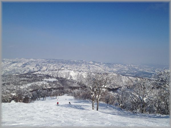 野沢合宿
