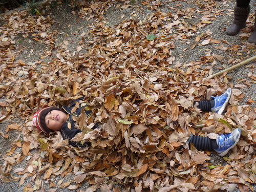 キャンプ&キャビンズ那須高原(2012.11.18~19 2日目)