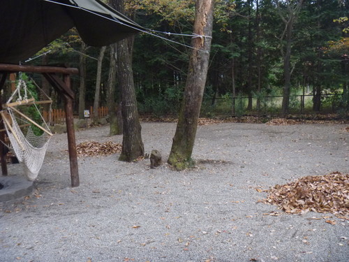 キャンプ&キャビンズ那須高原(2012.11.18~19 2日目)