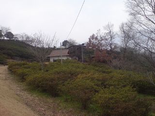 グリーンパレス(その1)