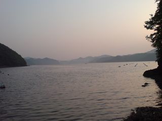 釣り (2日目)