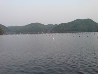 釣り (2日目)