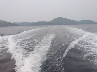 釣り (2日目)
