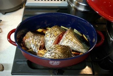 お魚は!?