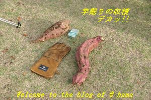 ミ-ティング-1