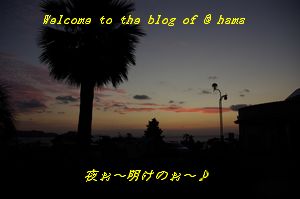 海きゃん-2
