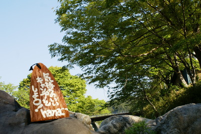 GW!CAZUキャンプ場!・・・(^^