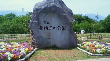 公園へ