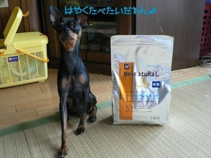 新★ドッグフード