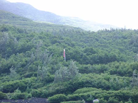富士山グループ登山登頂成功!