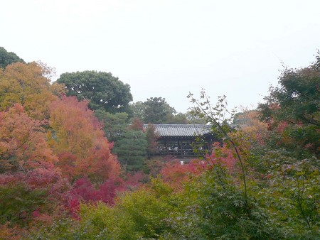 赤い都で紅葉パトロールin京都