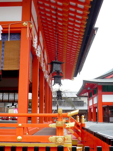 赤い都で紅葉パトロールin京都